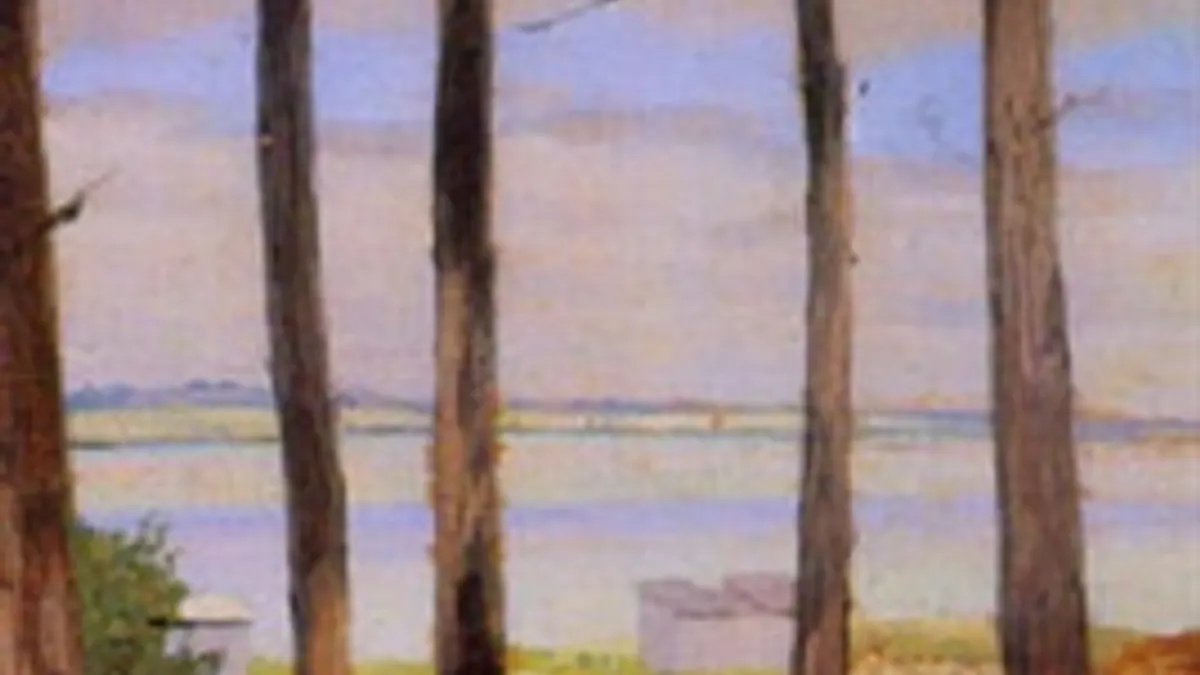 Île d'Oléron — vue de la commune