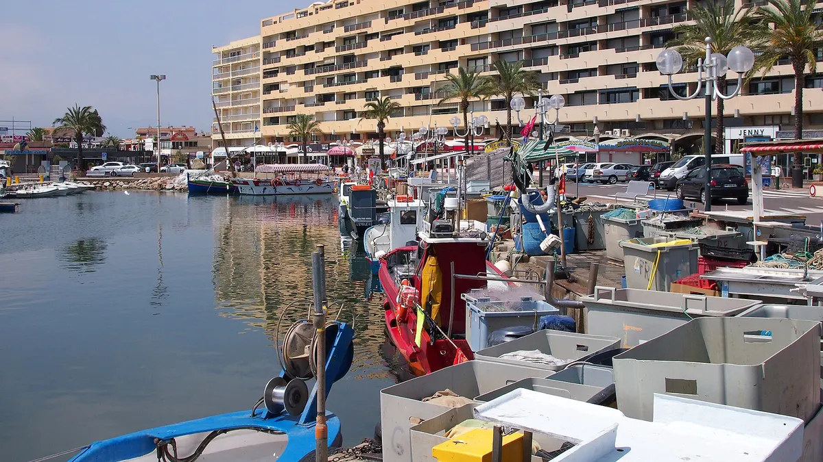 Saint-Cyprien — vue de la commune