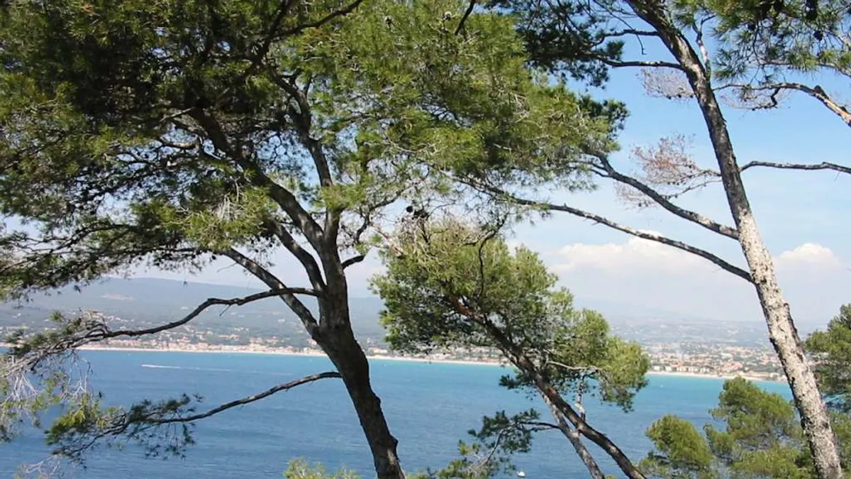 Saint-Cyr-sur-Mer — vue de la commune